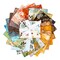 Expressions Batiks Fat Quarter Bundle in Kalinda by Pat Fryer for Riley Blake (FQ-23487-23)